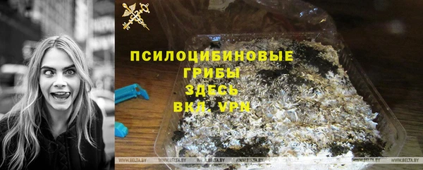 стафф Кинешма