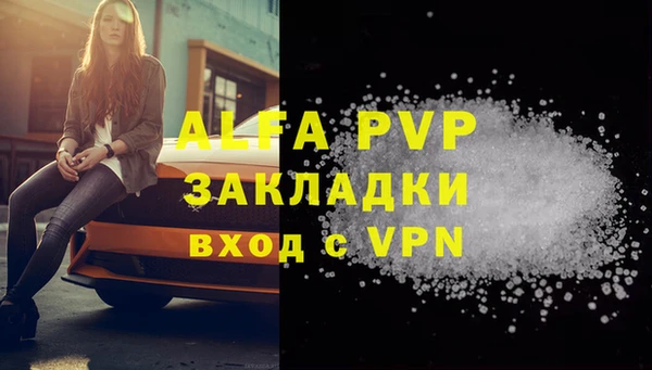 стафф Кинешма