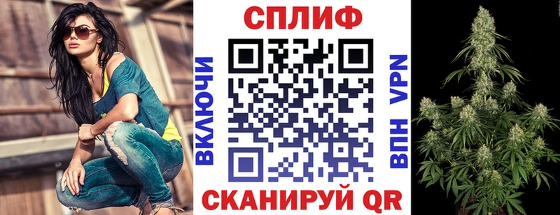 mega зеркало  Мураши  мориарти как зайти  Марихуана MAZAR 